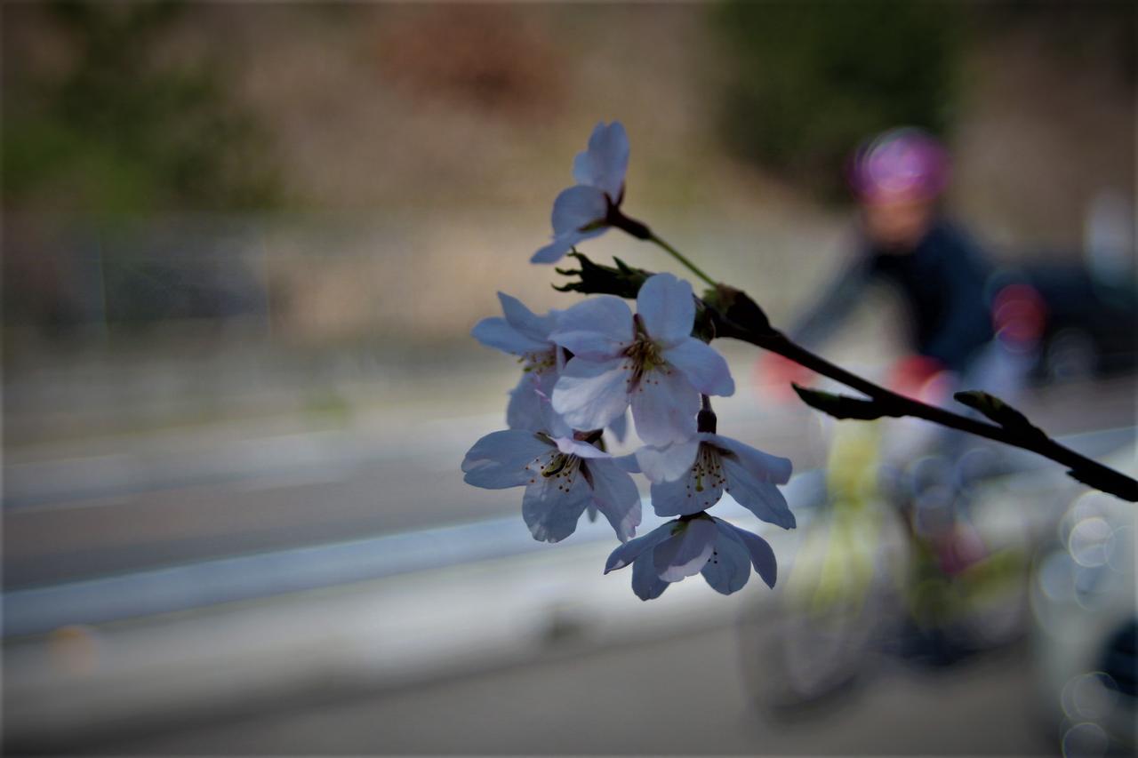 Guesthouse Kume Imabari Railway Station Dış mekan fotoğraf